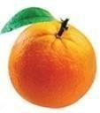 Orange Democratic Movement symbol